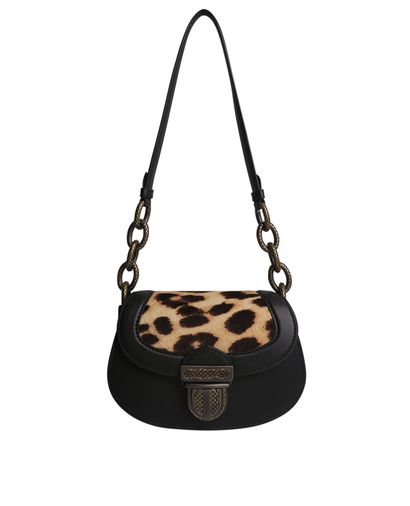 Leopard Umbria, front view